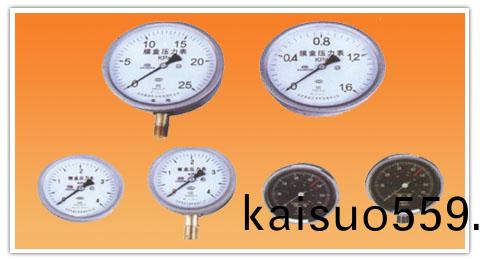YE-160(Z)，106(Z)，75(Z)係列膜(mo)盒壓力錶(biao)